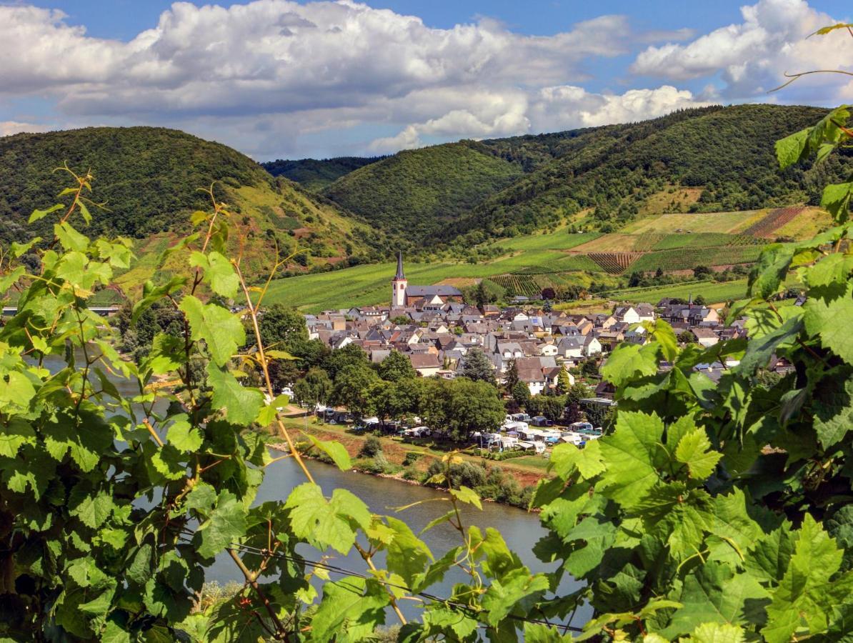 Moselhof Ferienwohnungen Bruttig-Fankel Exterior foto